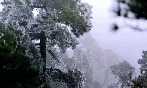 探秘章子怡亲儿子亲出双下巴,你有哪些消除双下巴的方法呢?,发现更多有趣问题答案!