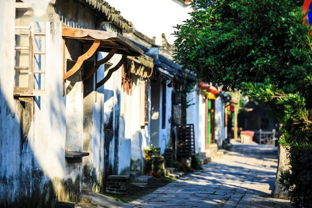 《幻兽帕鲁》结冰器官获得方法